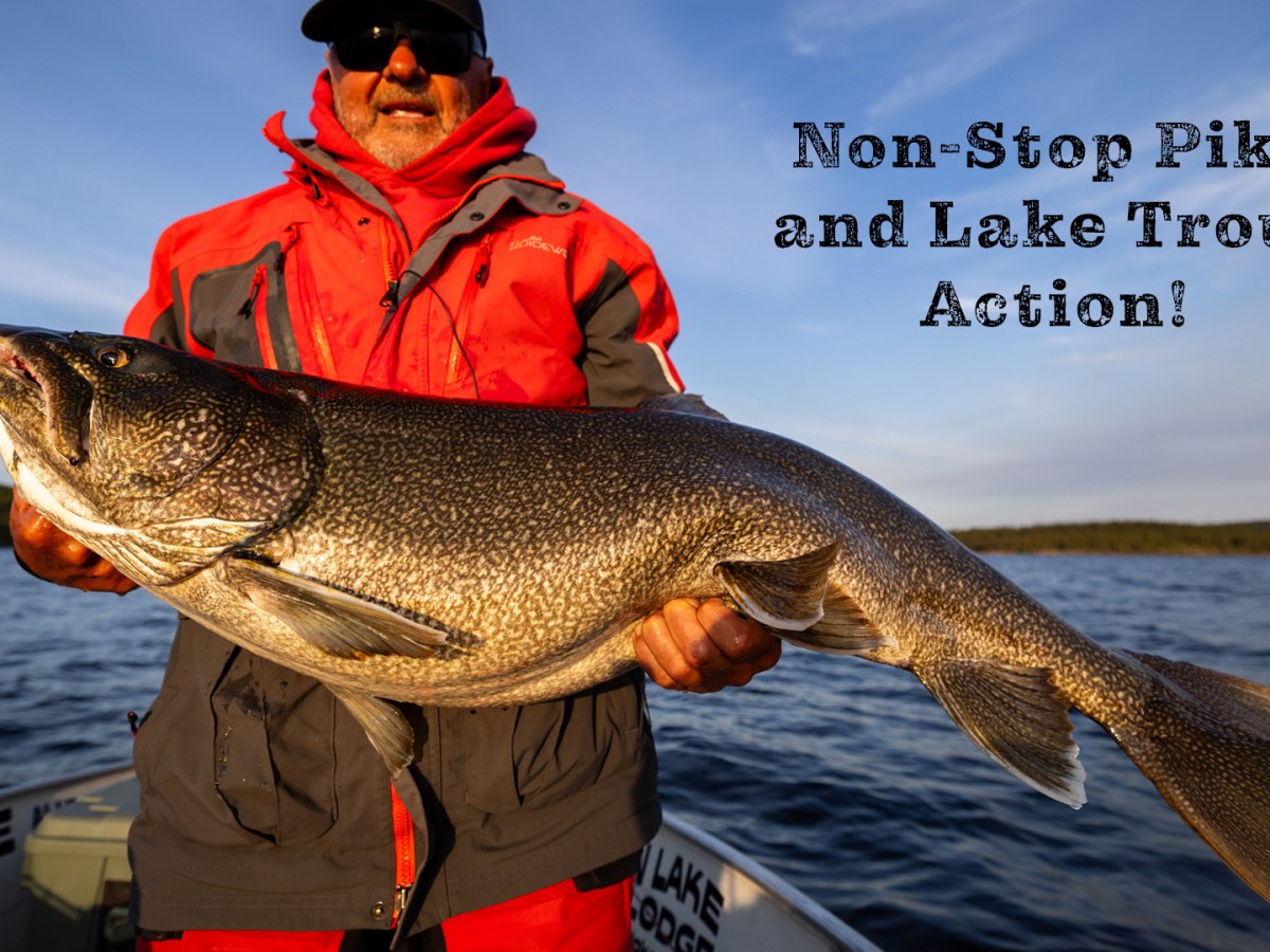 The first Tazin TV episode of 2025 is&nbsp;here!