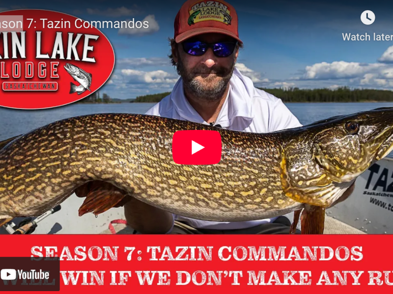 New Tazin TV Episode! Summer’s not over&nbsp;yet!